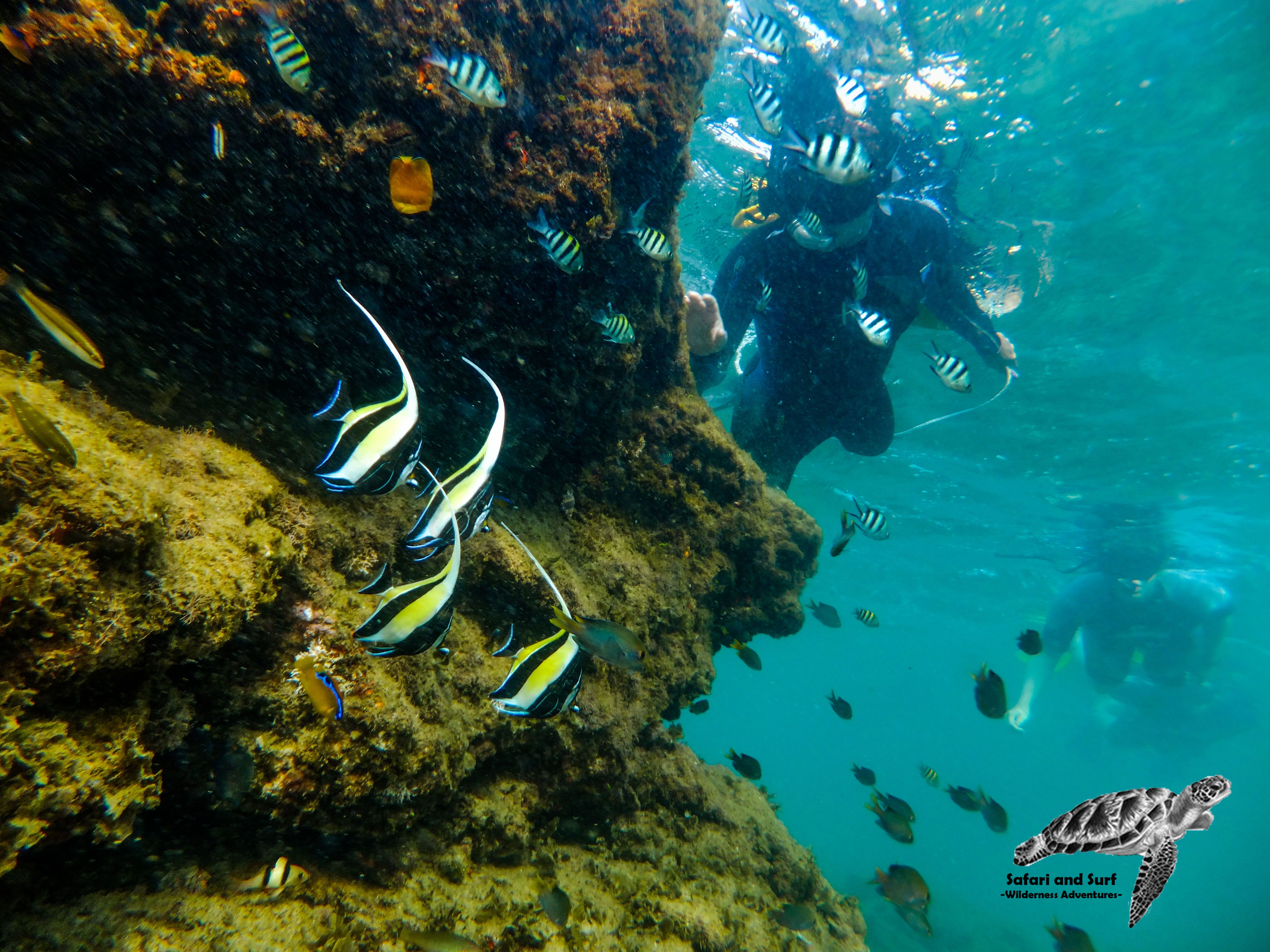 Snorkelingsafariandsurf2